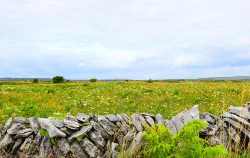 Irland Burren 1