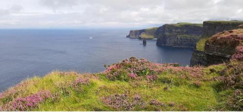 Irland Cliffs of Moher